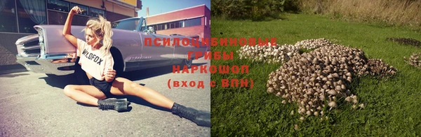 амф Алексеевка