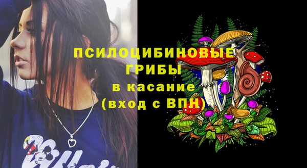 амф Алексеевка
