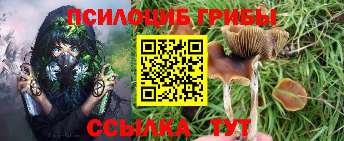 Псилоцибиновые грибы MAGIC MUSHROOMS Кольчугино