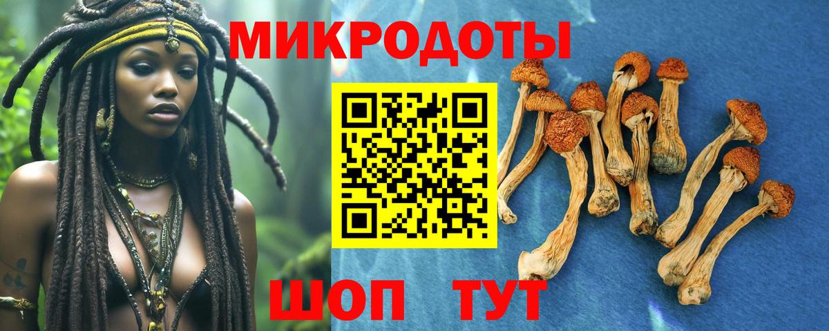 Псилоцибиновые грибы GOLDEN TEACHER  Галлюциногенные грибы мухоморы  Вход с VPN  Кольчугино 